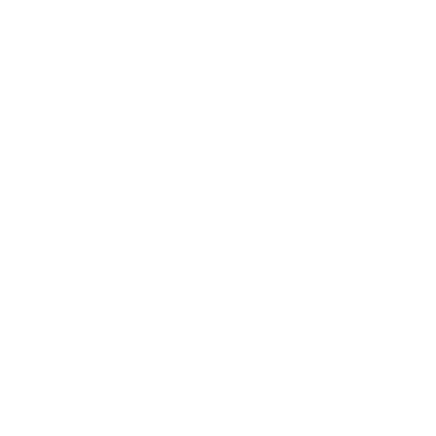 Ring Icon